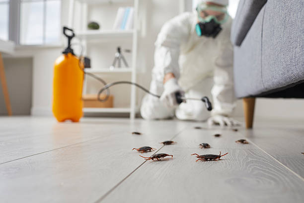 Commercial Kitchen Cockroach Control in Claysburg